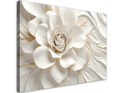Obraz na plátně Krásná bílá růže