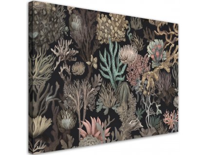 Obraz na plátně Nádherné mořské korály