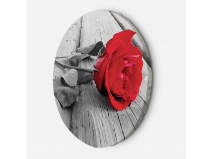Obraz na plátně Červená růže na staré podlaze