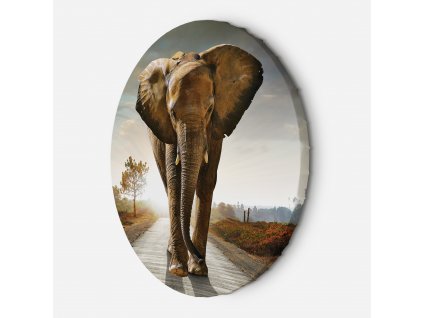 Kulatý obraz na plátně Putování slona