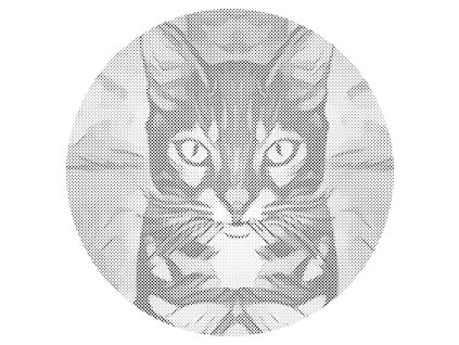 Tečkování Upřený pohled kočky 1