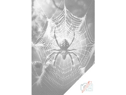 Tečkování Pavouk v síti