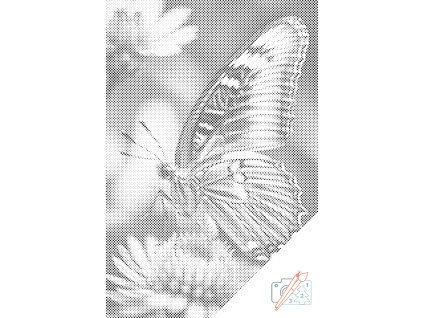 Tečkování Motýl na květině