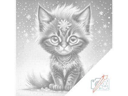 Tečkování Duhové černé kotě