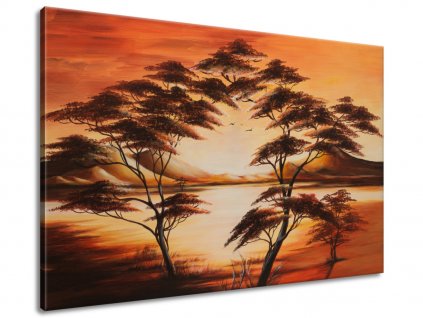 Ručně malovaný obraz Krásná Afrika 120x80cm (Velikost 120 x 80 cm)