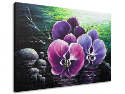 Ručně malovaný obraz Orchidea u potoka (Velikost 70 x 100 cm)
