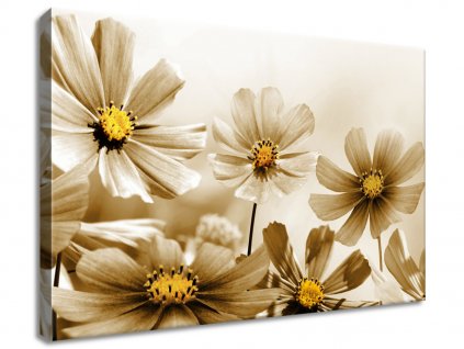 Obraz na plátně Květnatá krása (Velikost 40 x 30 cm)