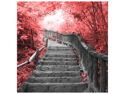 Obraz na plátně Schody v červeném lese