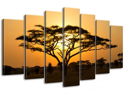 Obraz na plátně Akácie v Serengeti 140x80cm (Velikost 140 x 80 cm)