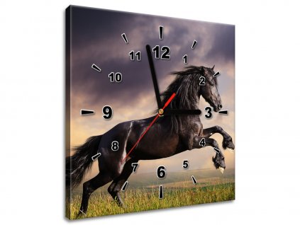 Obraz s hodinami Silný černý kůň (Velikost 30 x 30 cm)