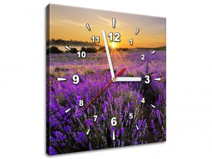 Obraz s hodinami Levandulové pole (Velikost 30 x 30 cm)
