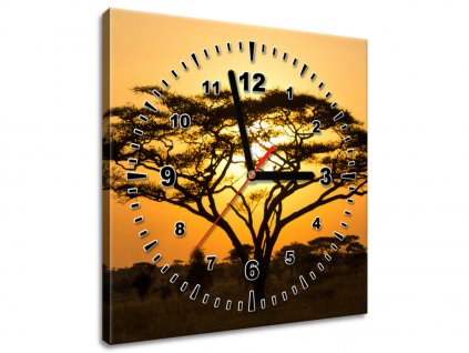 Obraz s hodinami Akácie v Serengeti (Velikost 30 x 30 cm)