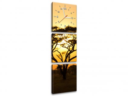 Obraz s hodinami Akácie v Serengeti 30x90cm (Velikost 90 x 30 cm)