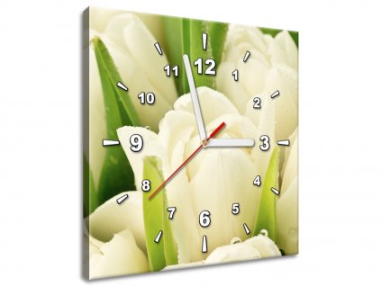 Obraz s hodinami Jemné tulipány (Velikost 30 x 30 cm)