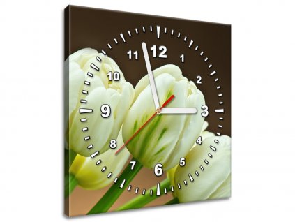Obraz s hodinami Okouzlující bílé tulipány (Velikost 30 x 30 cm)