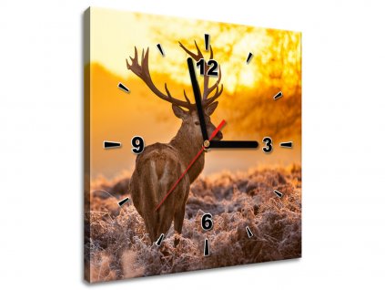 Obraz s hodinami Silný jelen (Velikost 30 x 30 cm)