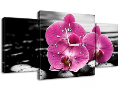 Obraz s hodinami Krásná orchidej mezi kameny 80x40cm (Velikost 90 x 30 cm)