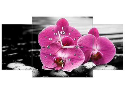 Obraz s hodinami Krásná orchidej mezi kameny - 3 dílný
