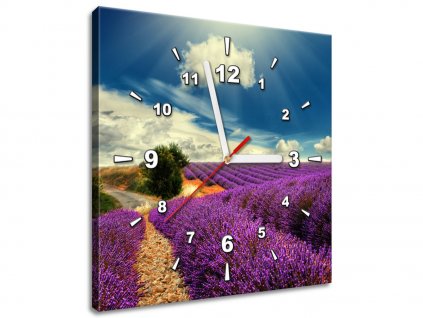 Obraz s hodinami Kouzelná levandulová země (Velikost 30 x 30 cm)
