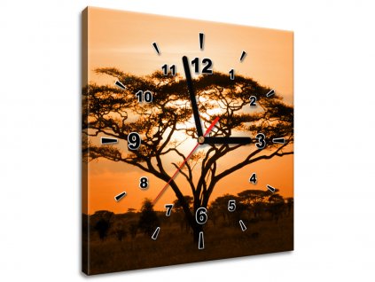 Obraz s hodinami Nádherná africká země (Velikost 30 x 30 cm)