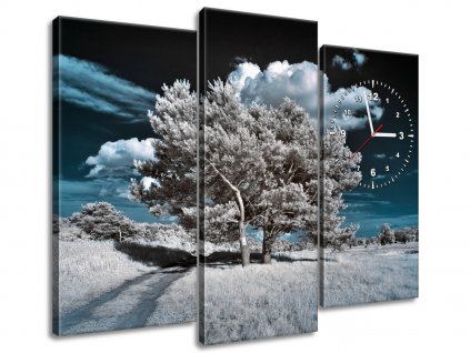 Obraz s hodinami Záhadné silné stromy 90x70cm (Velikost 90 x 70 cm)