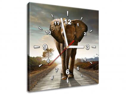 Obraz s hodinami Osamělý silný slon (Velikost 30 x 30 cm)