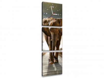 Obraz s hodinami Osamělý silný slon 30x90cm (Velikost 90 x 70 cm)