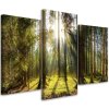 Obraz na plátně Slunečný den v lese - 3 dílný