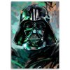 Obraz na plátně Star Wars, Darth Vader - Dmitry Belov