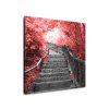 Obraz na plátně Schody v červeném lese