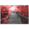 Obraz na plátně Schody v červeném lese