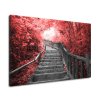 Obraz na plátně Schody v červeném lese