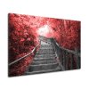 Obraz na plátně Schody v červeném lese