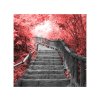 Obraz na plátně Schody v červeném lese