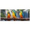 Obraz s hodinami Barevní papoušci