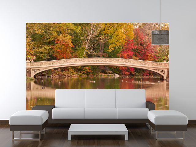 Fotótapéta fajták összehasonlítása