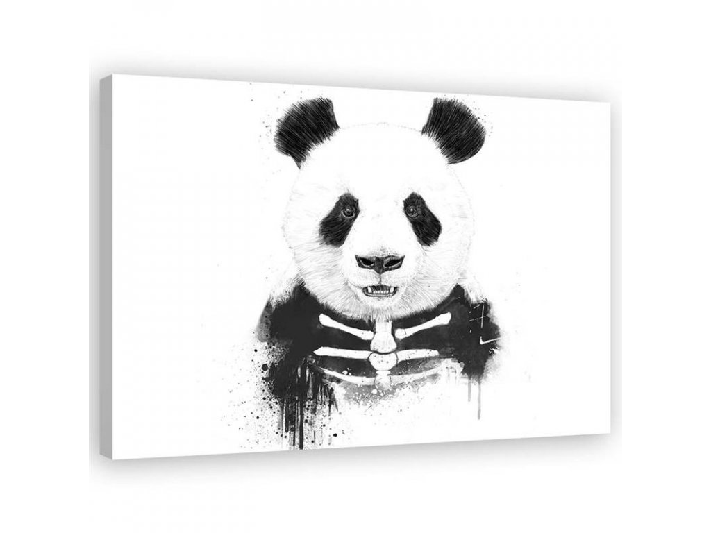 Kép Csontváz panda medve - Rykker | Gario.hu
