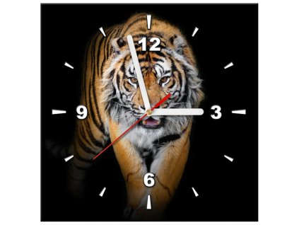 Órás falikép Eros tigris