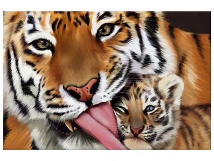 Vászonkép Tigris és kis tigris