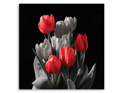 Vászonkép Csokor piros tulipán