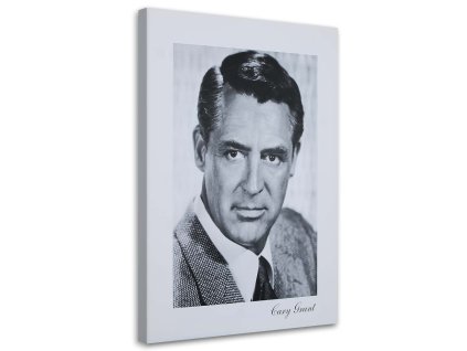 Vászonkép Cary Grant - portré