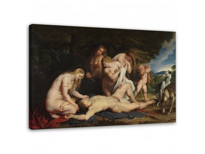 Vászonkép Adonisz halála - Peter Paul Rubens, reprodukció