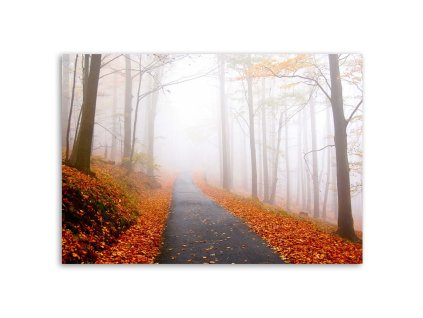 Vászonkép Arany osz a parkban