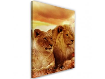Vászonkép Oroszlánkirály és oroszlánlány