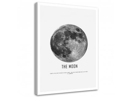 Vászonkép Hold