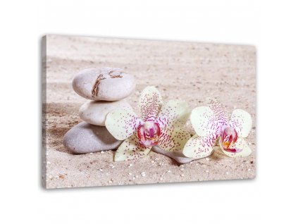 Vászonkép Orchidea és kövek a homokon