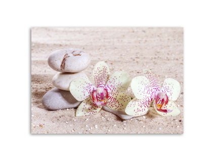 Vászonkép Orchidea és kövek a homokon