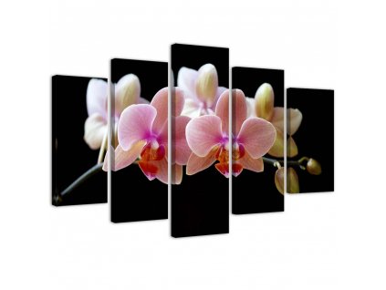 Vászonkép Rózsaszín orchidea - 5 részes