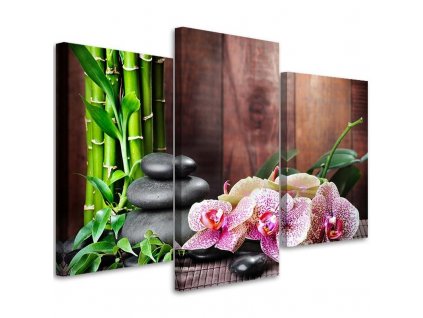Vászonkép Orchidea, bambusz és kövek - 3 részes