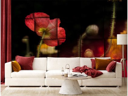Fotótapéta Vörös pipacsvirág